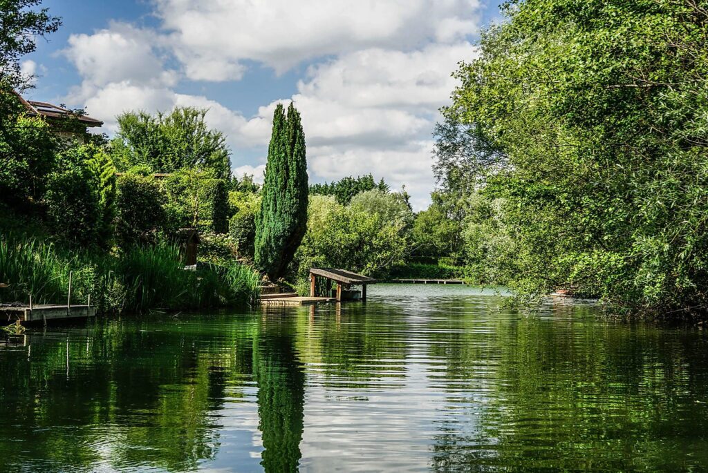 Le lac entouré de verdure aux Forestières du Lac
